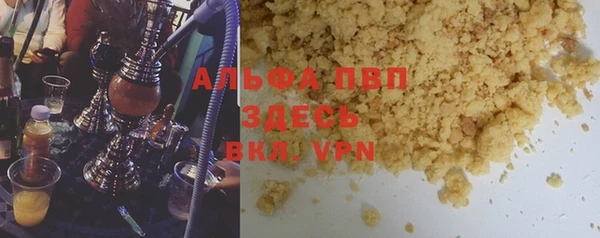гашик Новозыбков
