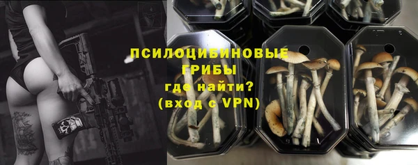 скорость Няндома