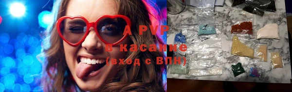 крисы Новодвинск