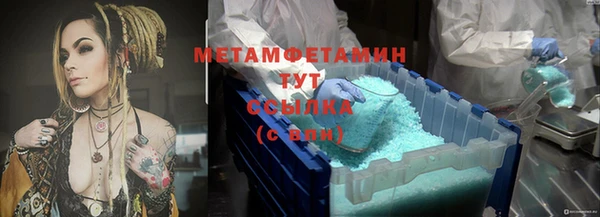 гашик Новозыбков