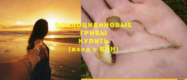 крисы Новодвинск