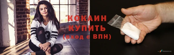 гашик Новозыбков