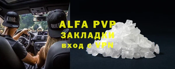 гашик Новозыбков