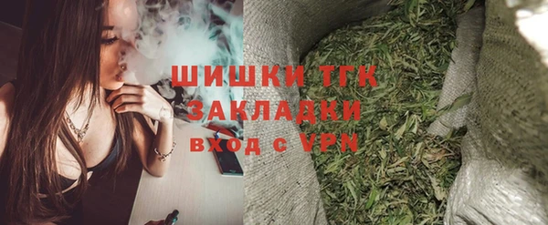 крисы Новодвинск