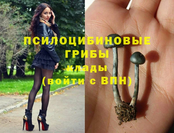 ALPHA PVP Новокубанск